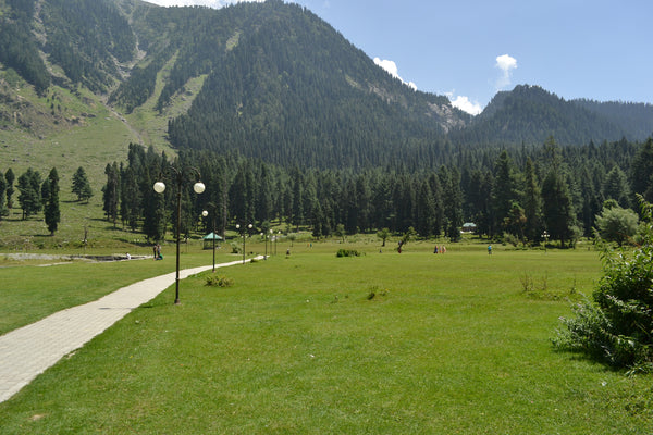 Kashmir Special (4 nights / 5 days) - Stay in premium houseboat, 3 Star hotel, Sightseeing & More!